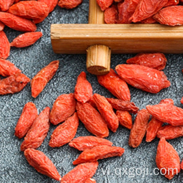 Nguyên liệu hữu cơ goji berry trái cây khô lycium berry